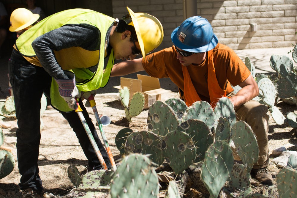 Friday_Planting cacti at Sabino Canyon Visitor Center_Photo by Michelle Dillon.jpg