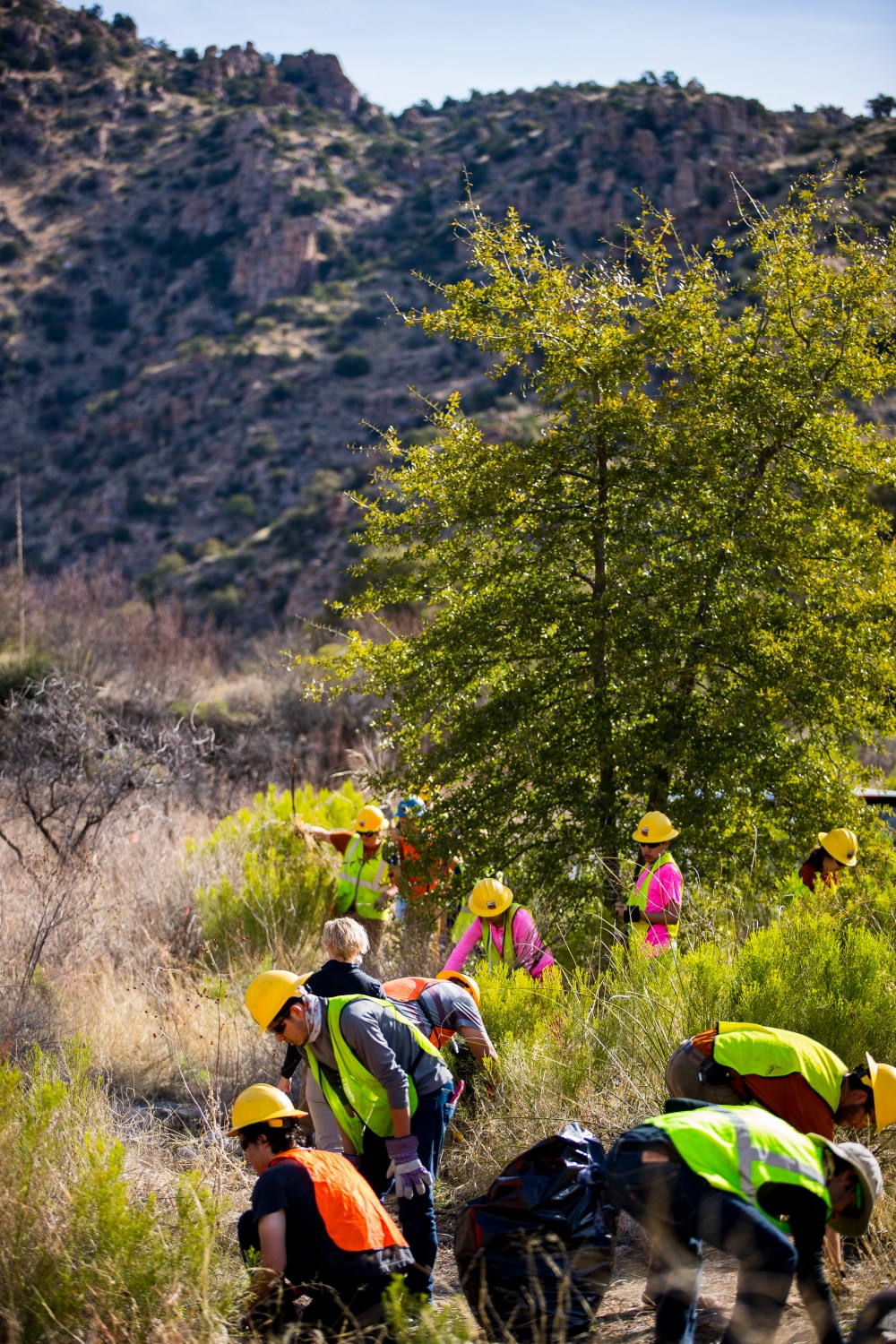 Thursday_Overview of trailwork_Photo by Pima County Communications