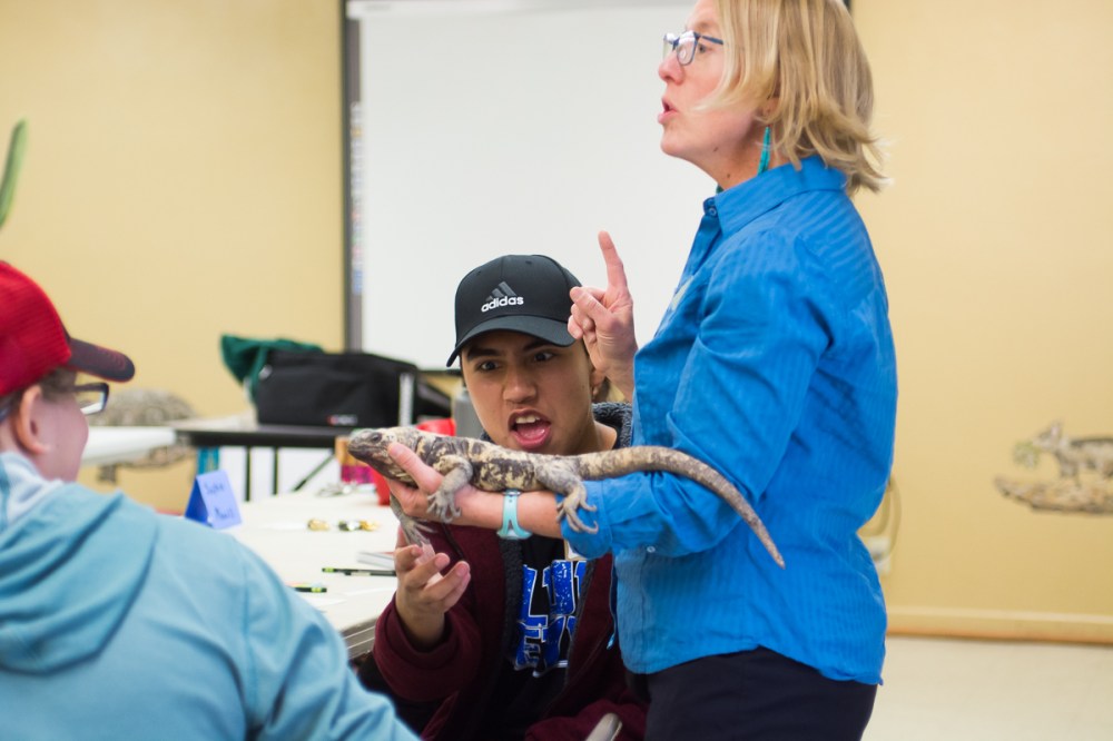 Tuesday_Meeting a chuckwalla at the ASDM_Photo by Michelle Dillon