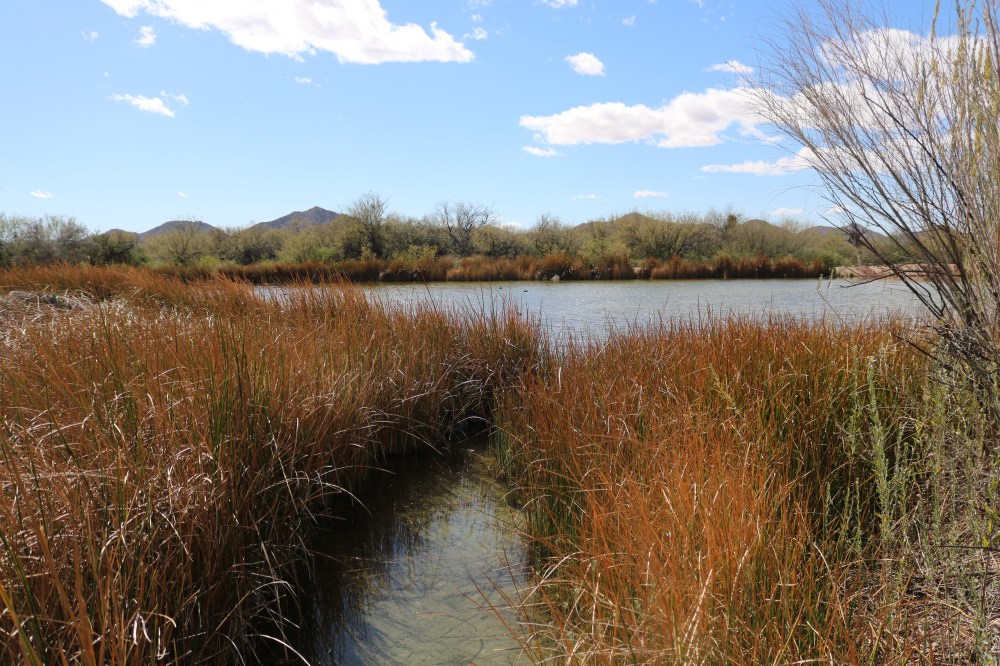 14 channel and oasis