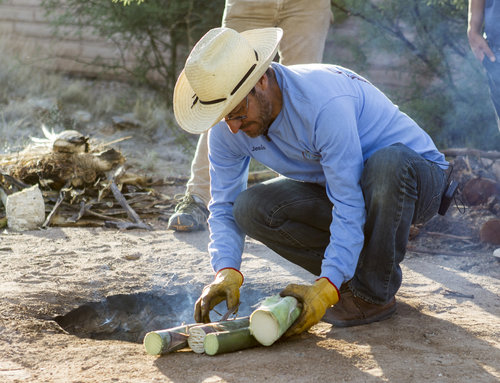 A man in a blue shirt, blue jeans, and hat prepares a fire pit to roast fresh agave at Mission Gardens. 